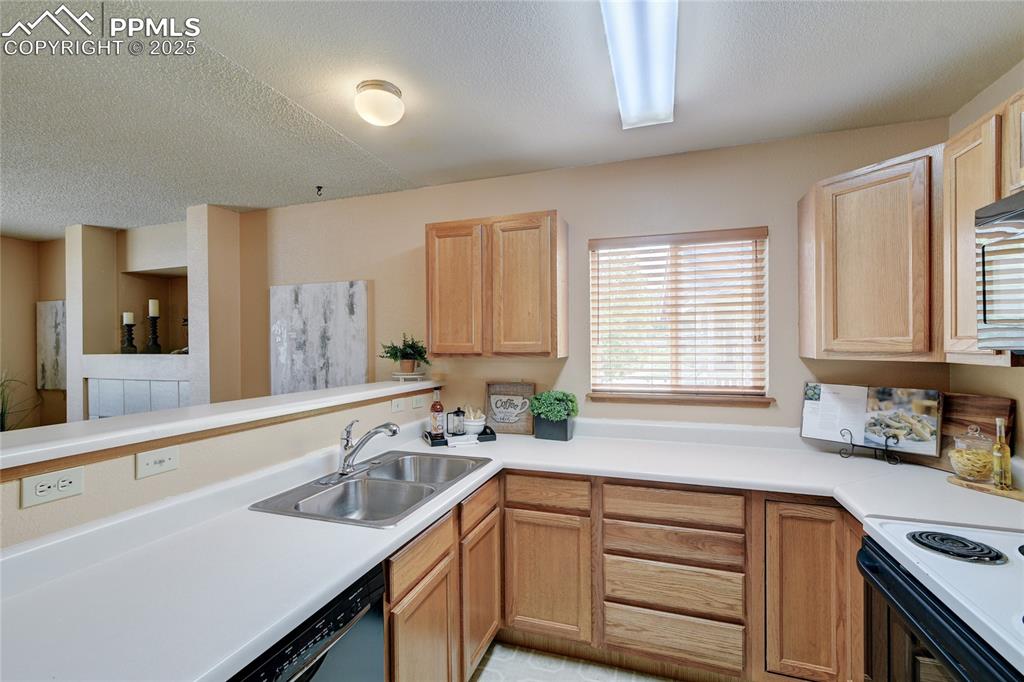 1107 Grinde Drive Fountain CO 80817