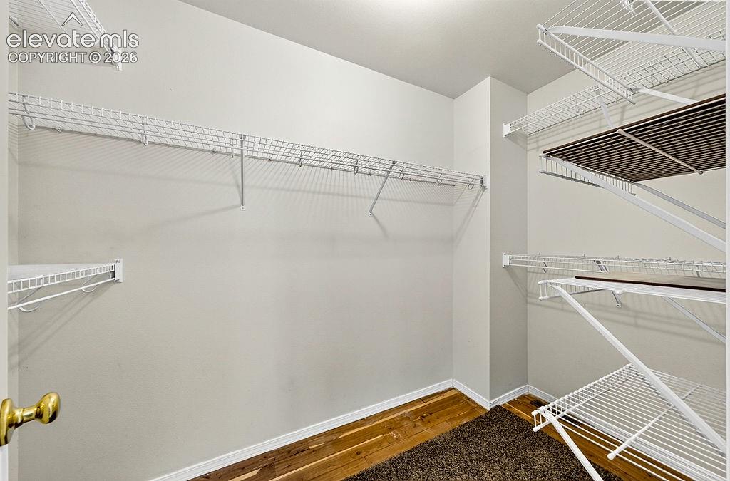 1168 Scarlet Oak Drive Colorado Springs CO 80906