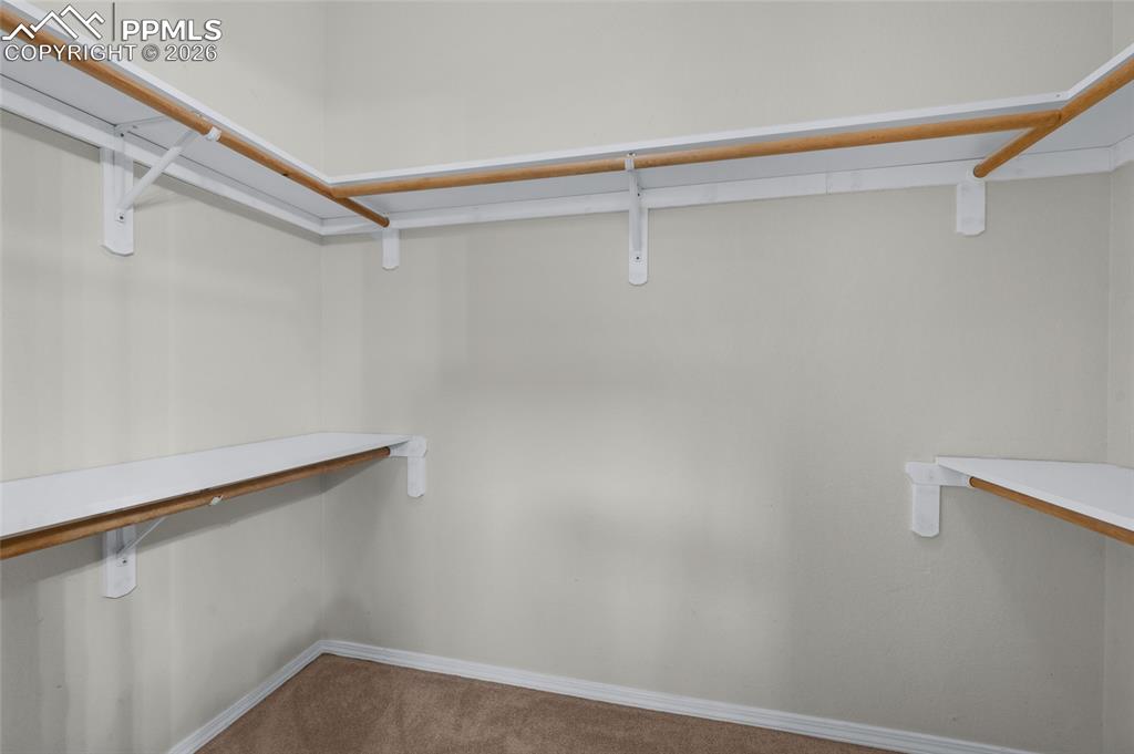 14155 Albatross Drive Colorado Springs CO 80921