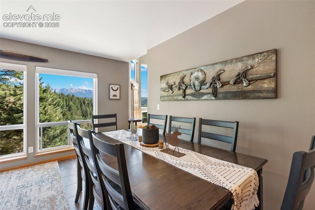 1240 Ponderosa Way Woodland Park CO 80863