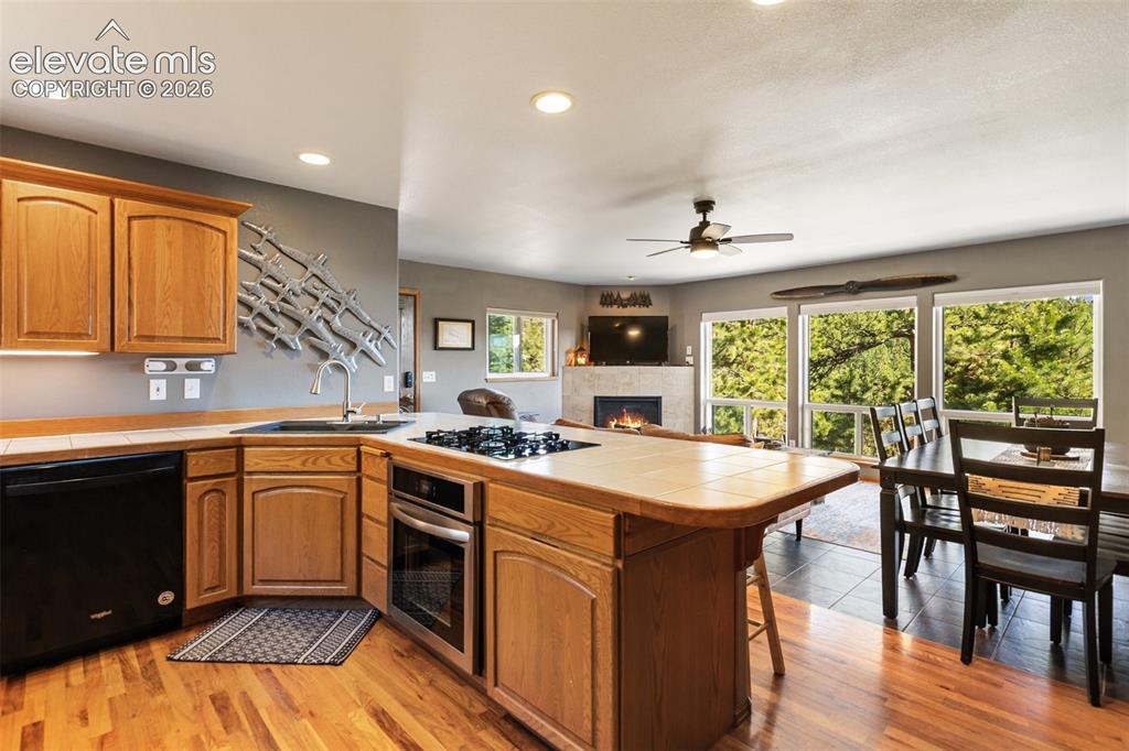 1240 Ponderosa Way Woodland Park CO 80863