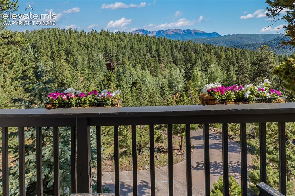 1240 Ponderosa Way Woodland Park CO 80863