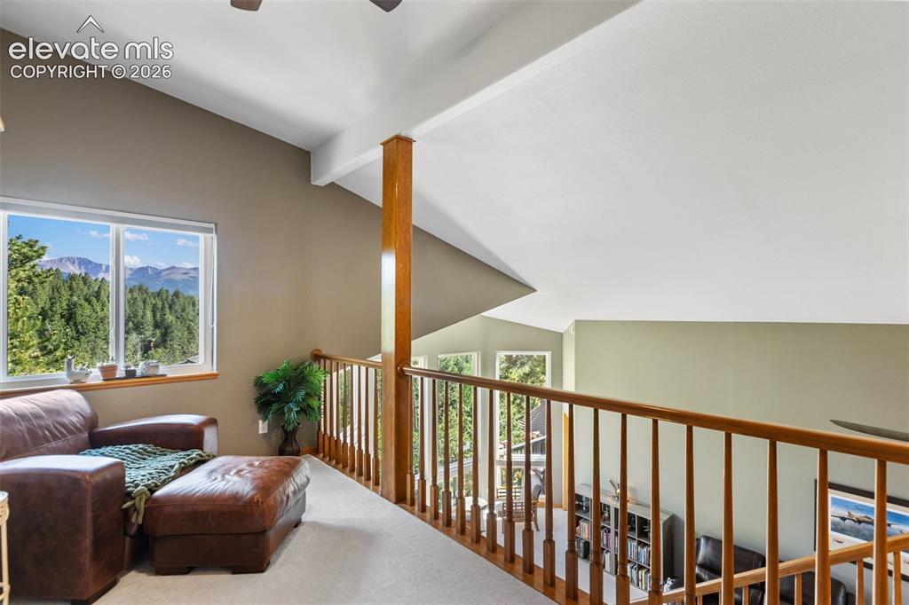 1240 Ponderosa Way Woodland Park CO 80863
