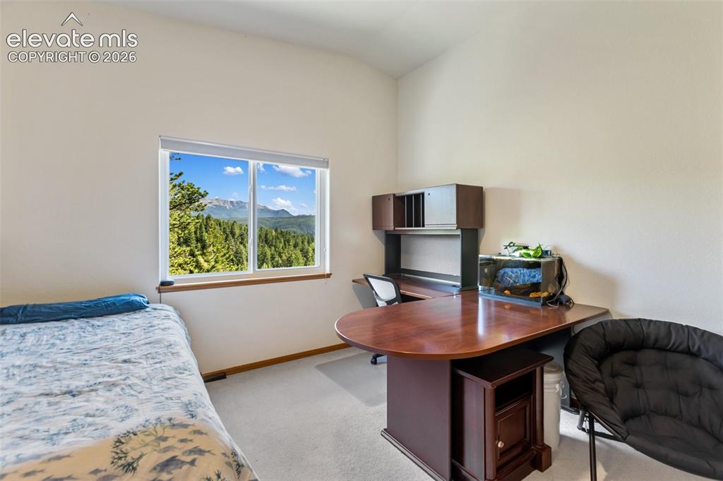 1240 Ponderosa Way Woodland Park CO 80863