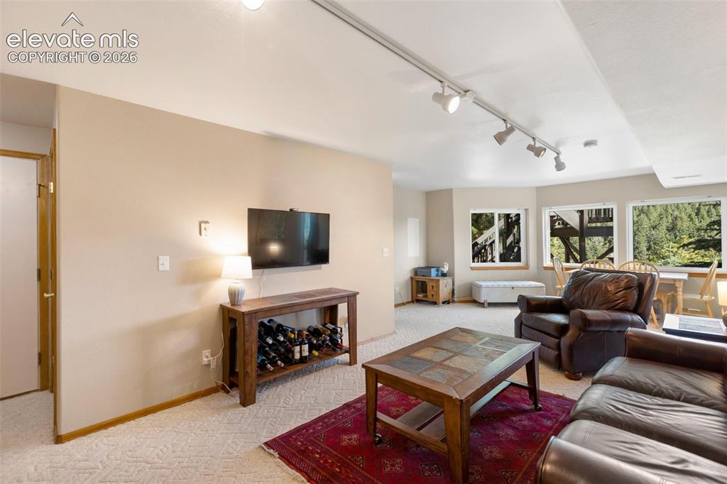 1240 Ponderosa Way Woodland Park CO 80863