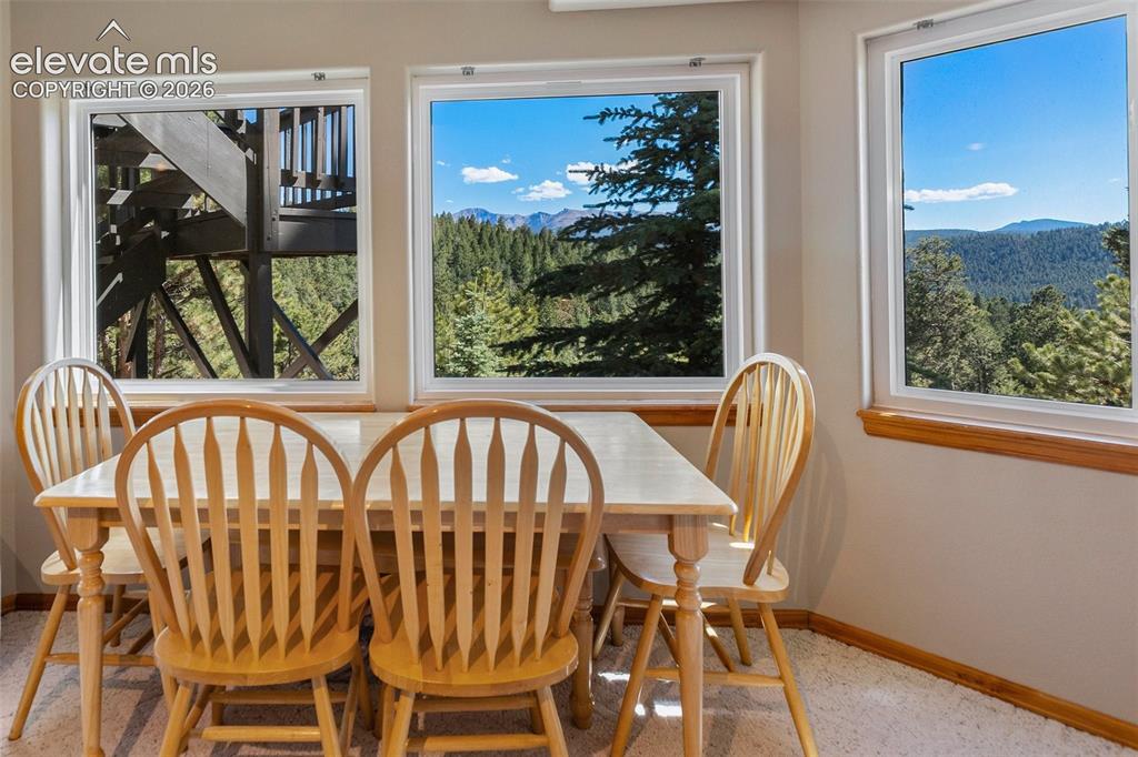1240 Ponderosa Way Woodland Park CO 80863
