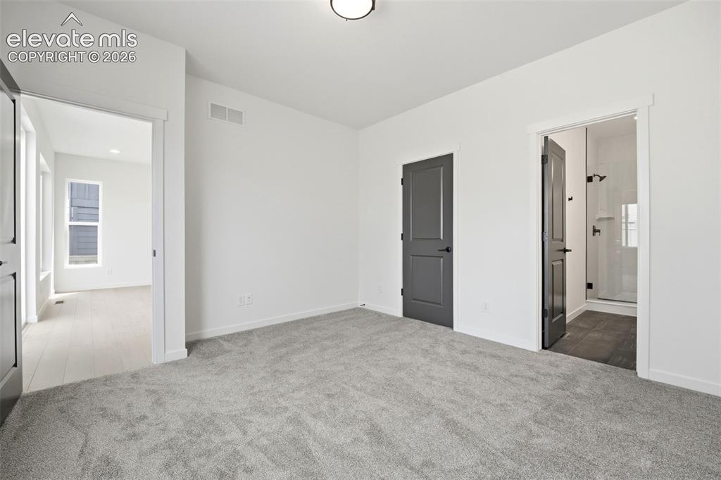 17743 Brass Buckle Way Monument CO 80132