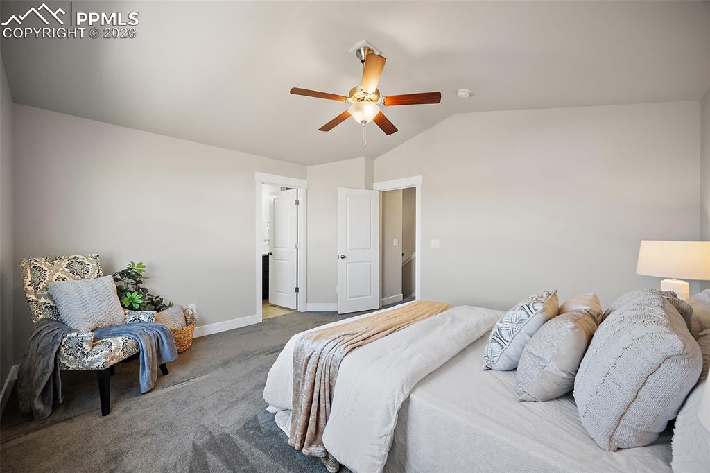 8040 Sandy Court Colorado Springs CO 80939