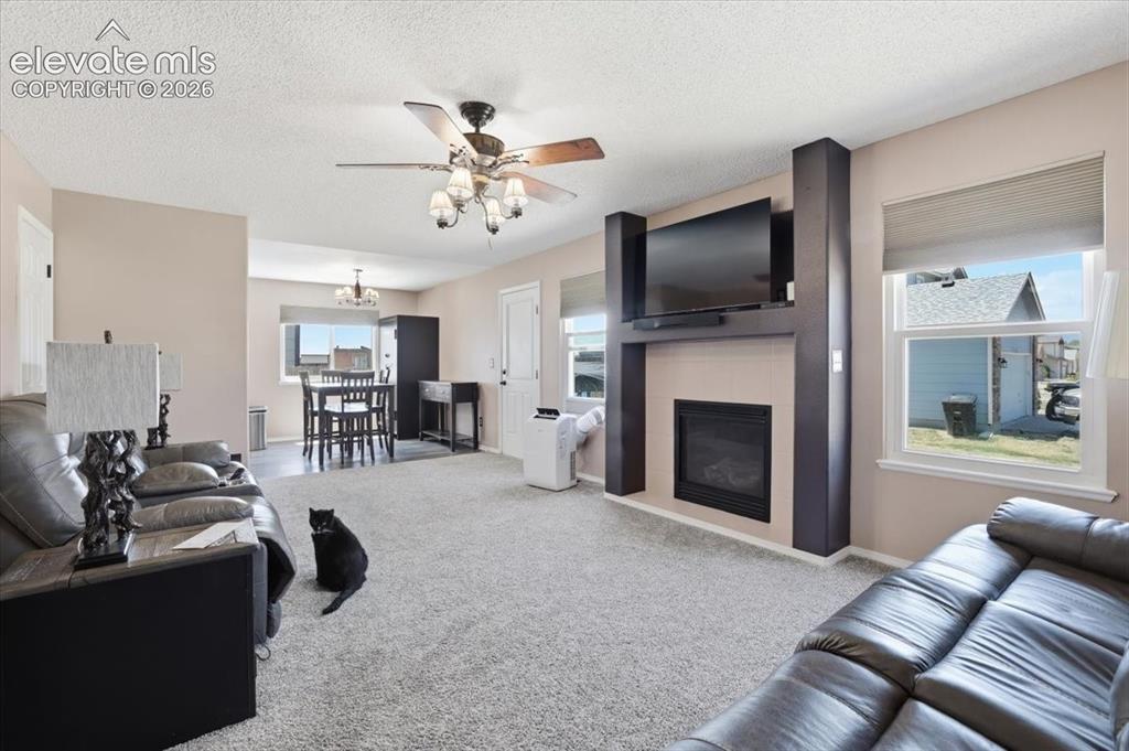 9310 Cormorant Drive Fountain CO 80817