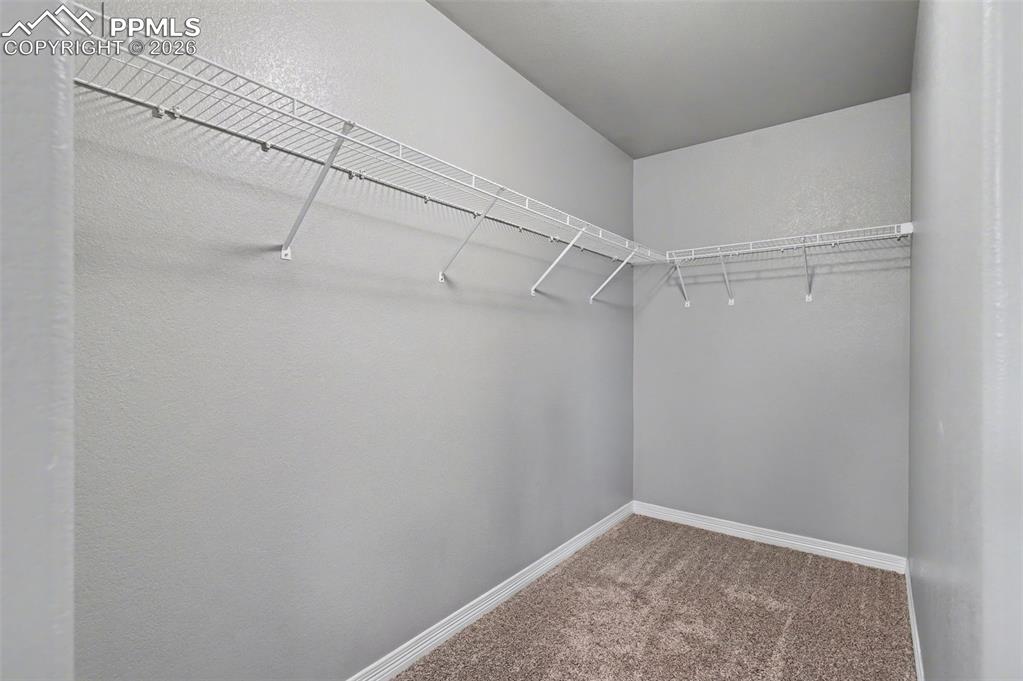 6189 Shavers Drive Colorado Springs CO 80925