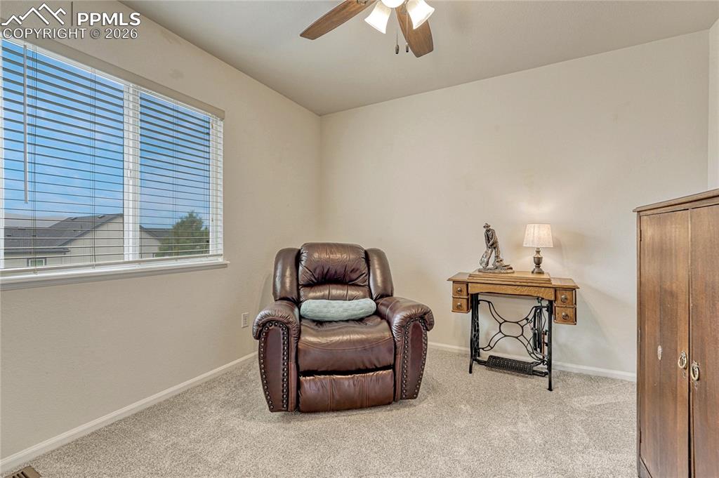 1456 Red Mica Way Monument CO 80132