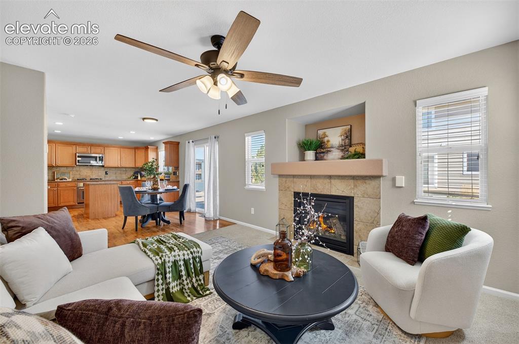 785 Diamond Rim Drive Colorado Springs CO 80921