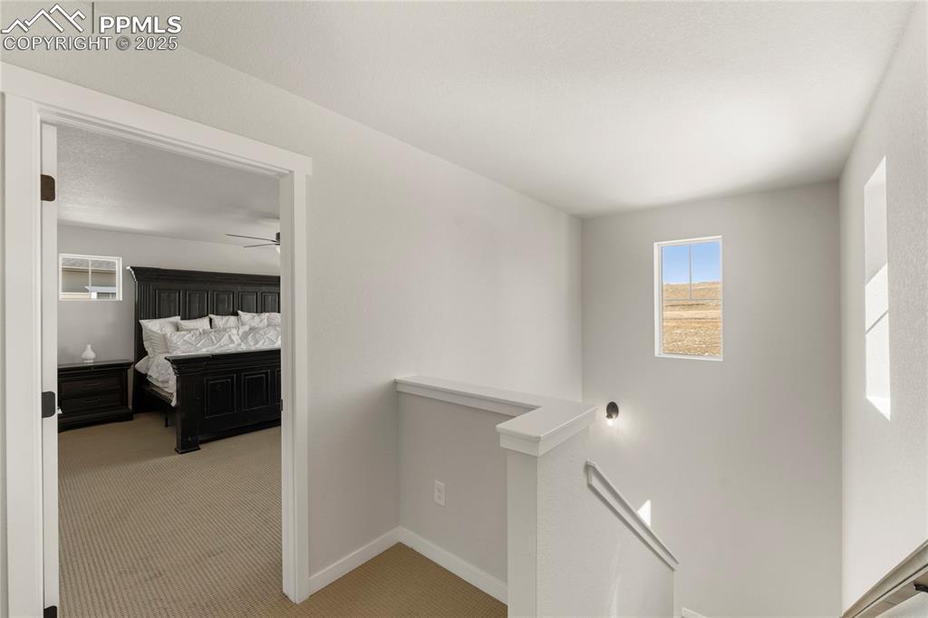 5894 Spring Breeze Drive Colorado Springs CO 80923