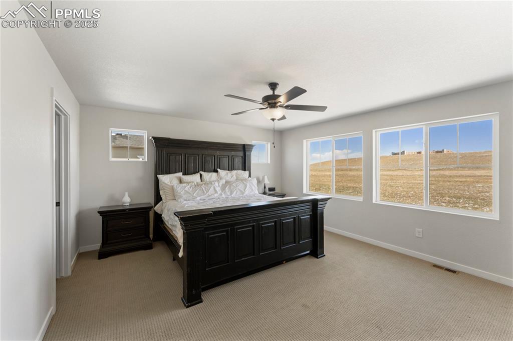 5894 Spring Breeze Drive Colorado Springs CO 80923