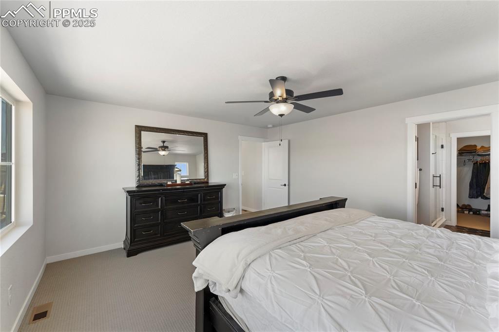 5894 Spring Breeze Drive Colorado Springs CO 80923