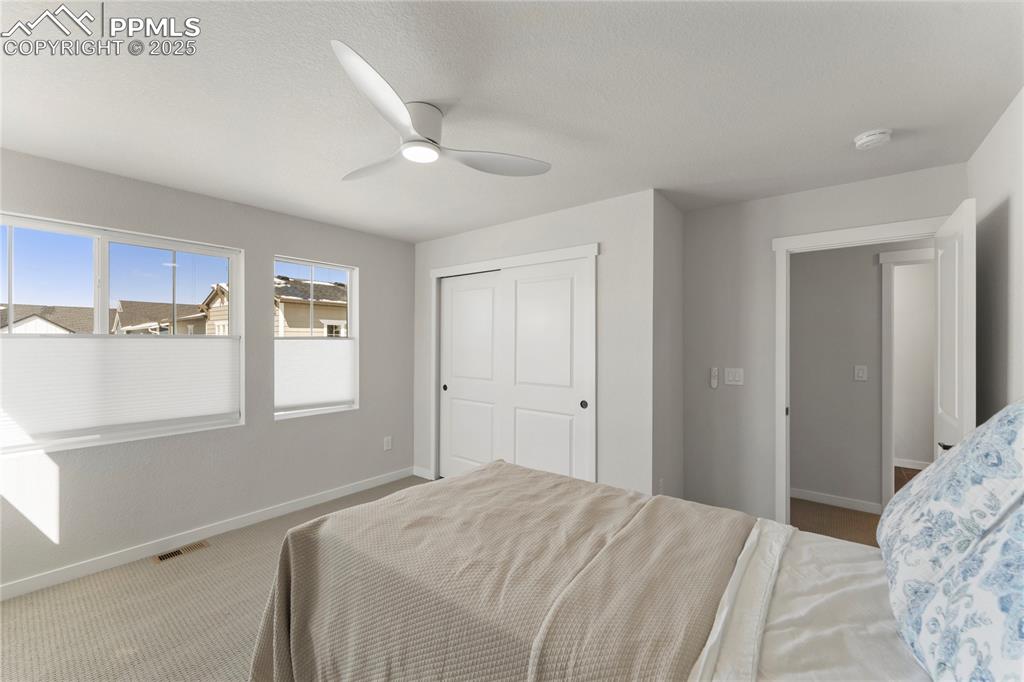 5894 Spring Breeze Drive Colorado Springs CO 80923