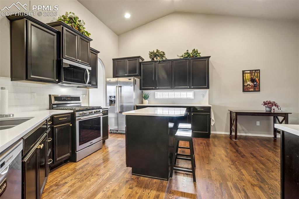 11394 Lobo Peak Drive Peyton CO 80831