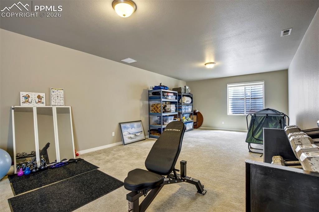11394 Lobo Peak Drive Peyton CO 80831