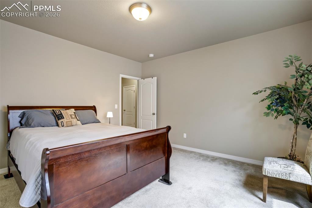 11394 Lobo Peak Drive Peyton CO 80831