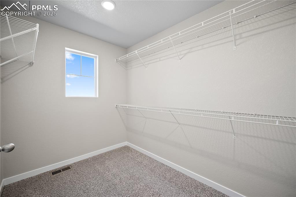 12001 Lake Trout Drive Colorado Springs CO 80925