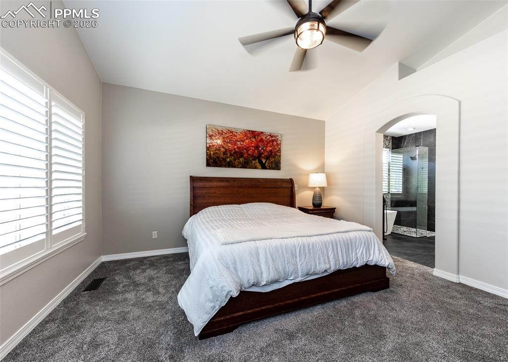 2452 Spanish Oak Terrace Colorado Springs CO 80920