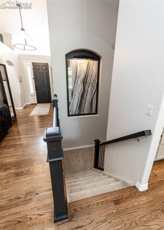 2452 Spanish Oak Terrace Colorado Springs CO 80920