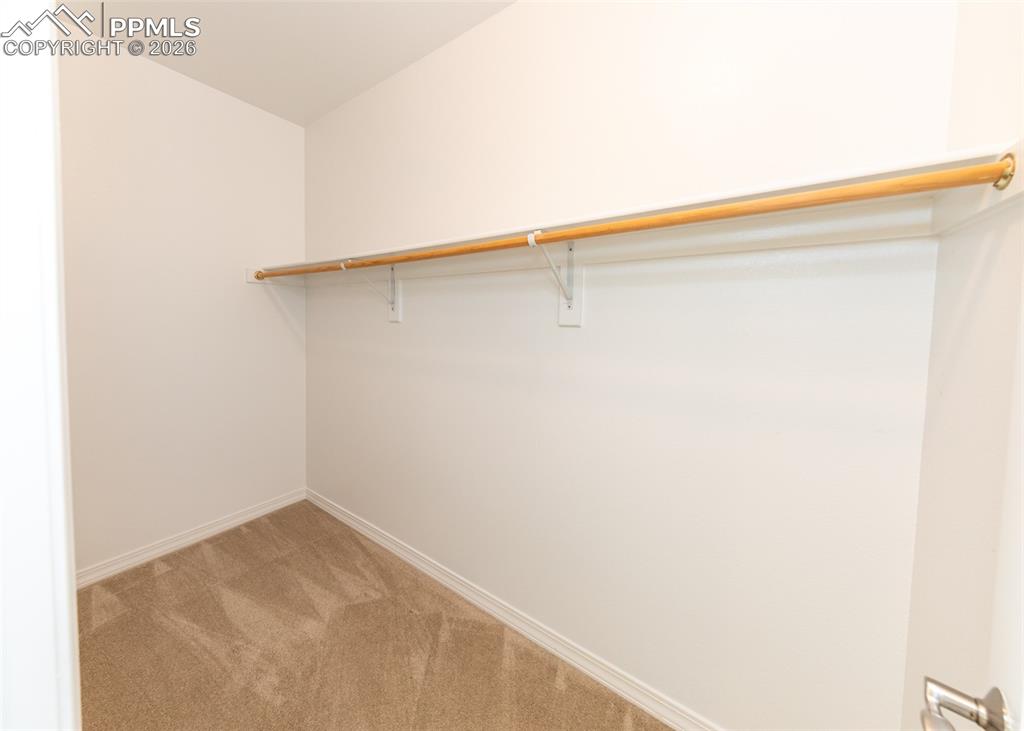 2452 Spanish Oak Terrace Colorado Springs CO 80920