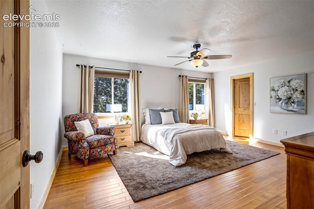 1155 Becky Drive Colorado Springs CO 80921