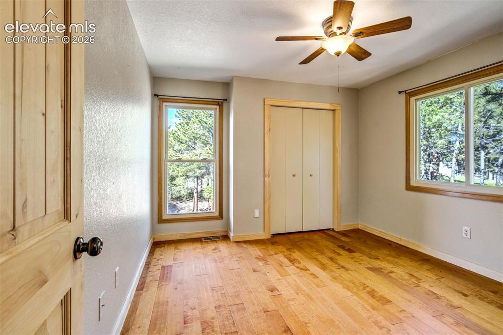 1155 Becky Drive Colorado Springs CO 80921