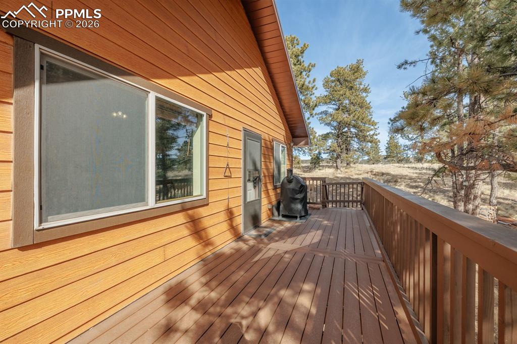 345 Meadow Lane Guffey CO 80820