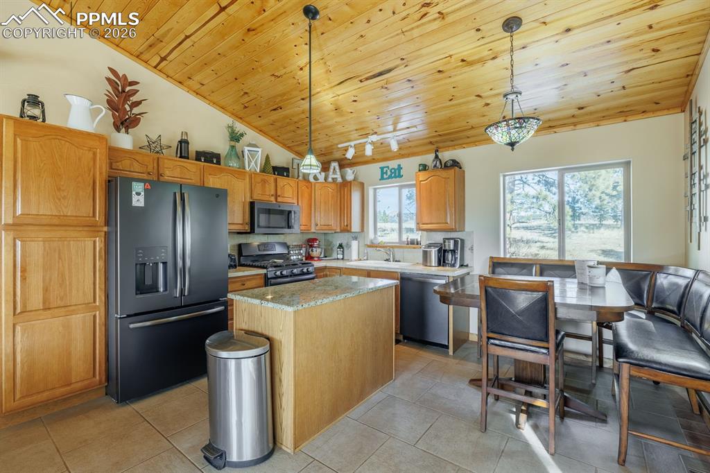 345 Meadow Lane Guffey CO 80820