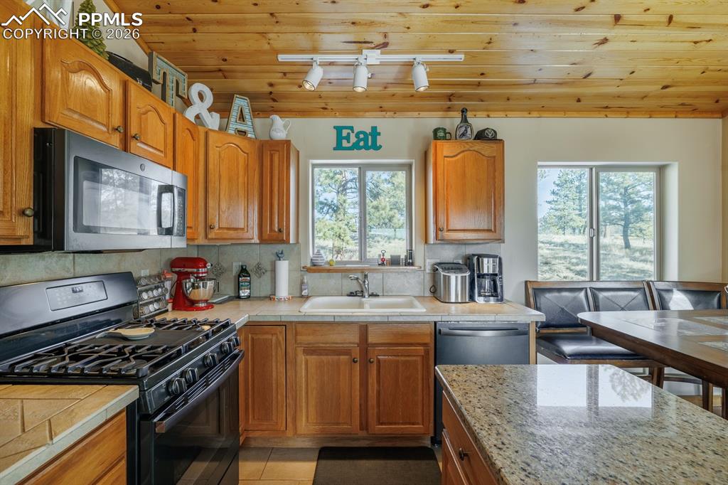 345 Meadow Lane Guffey CO 80820