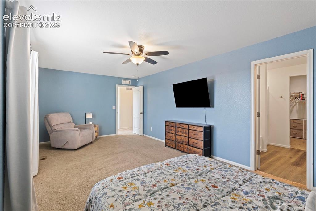 6206 Meadowbank Lane Colorado Springs CO 80925