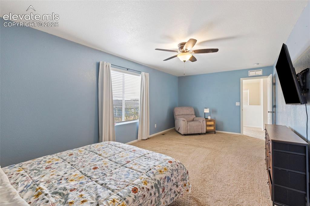 6206 Meadowbank Lane Colorado Springs CO 80925