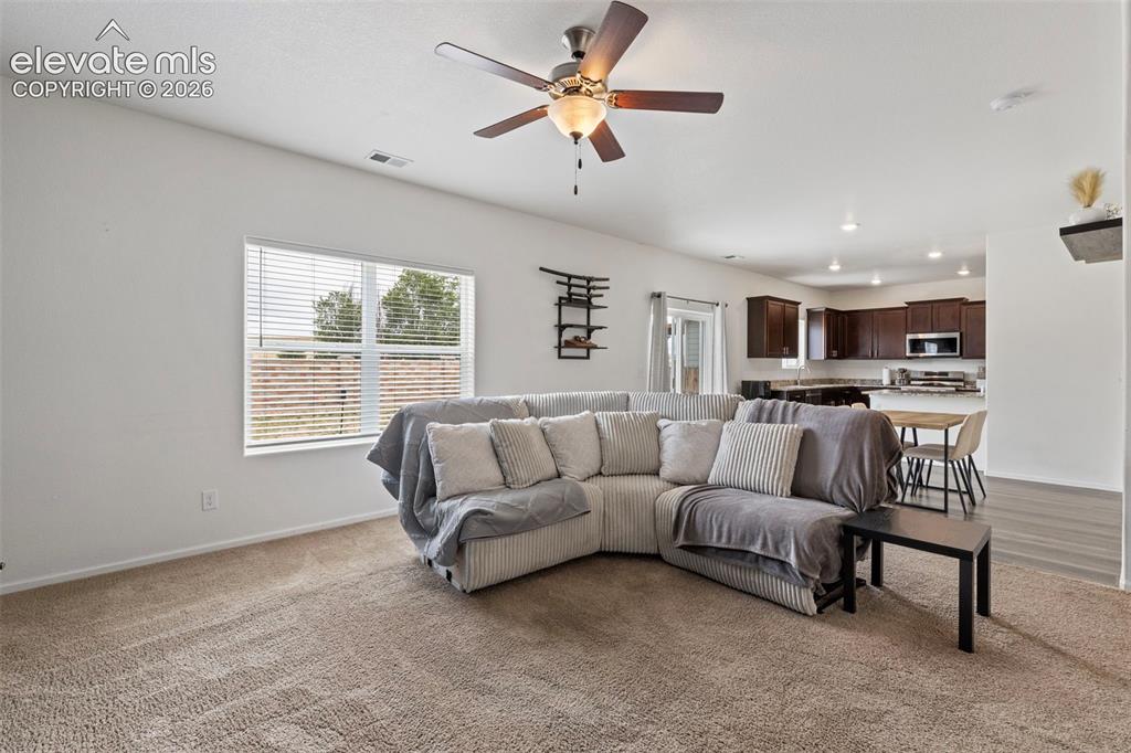 6206 Meadowbank Lane Colorado Springs CO 80925