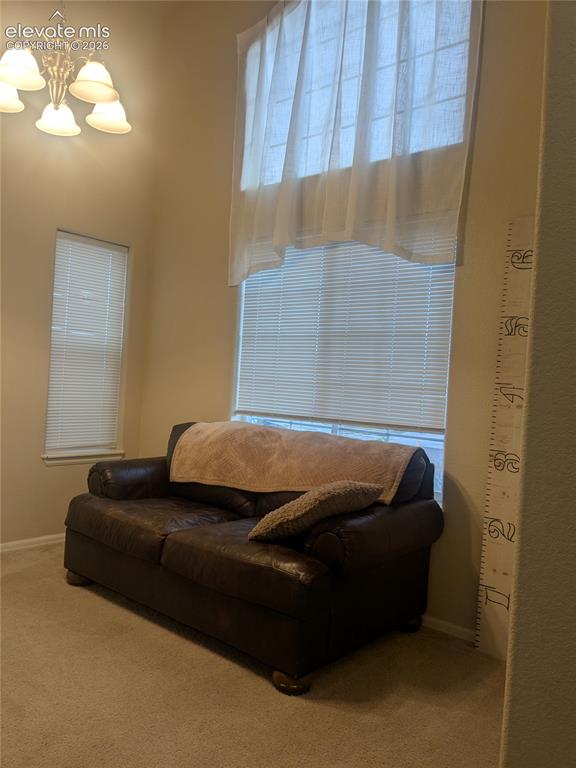 6273 Saddlebred Way Colorado Springs CO 80925