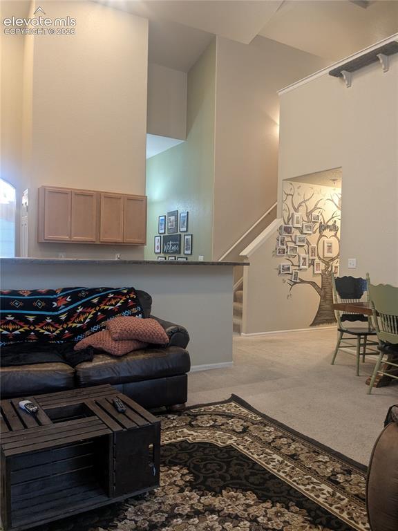 6273 Saddlebred Way Colorado Springs CO 80925