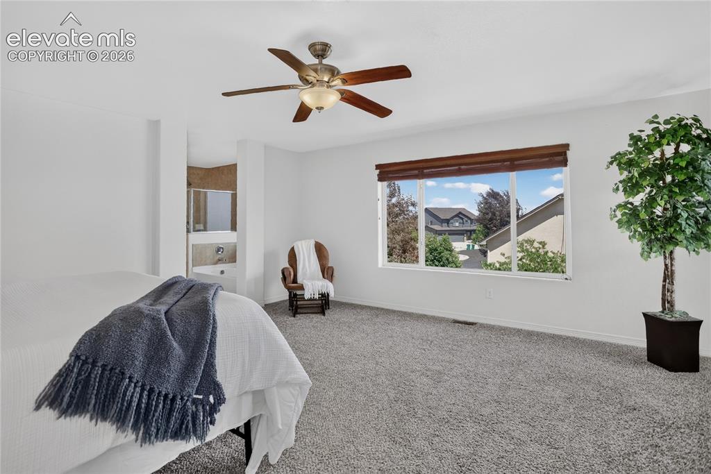2394 Reed Grass Way Colorado Springs CO 80915