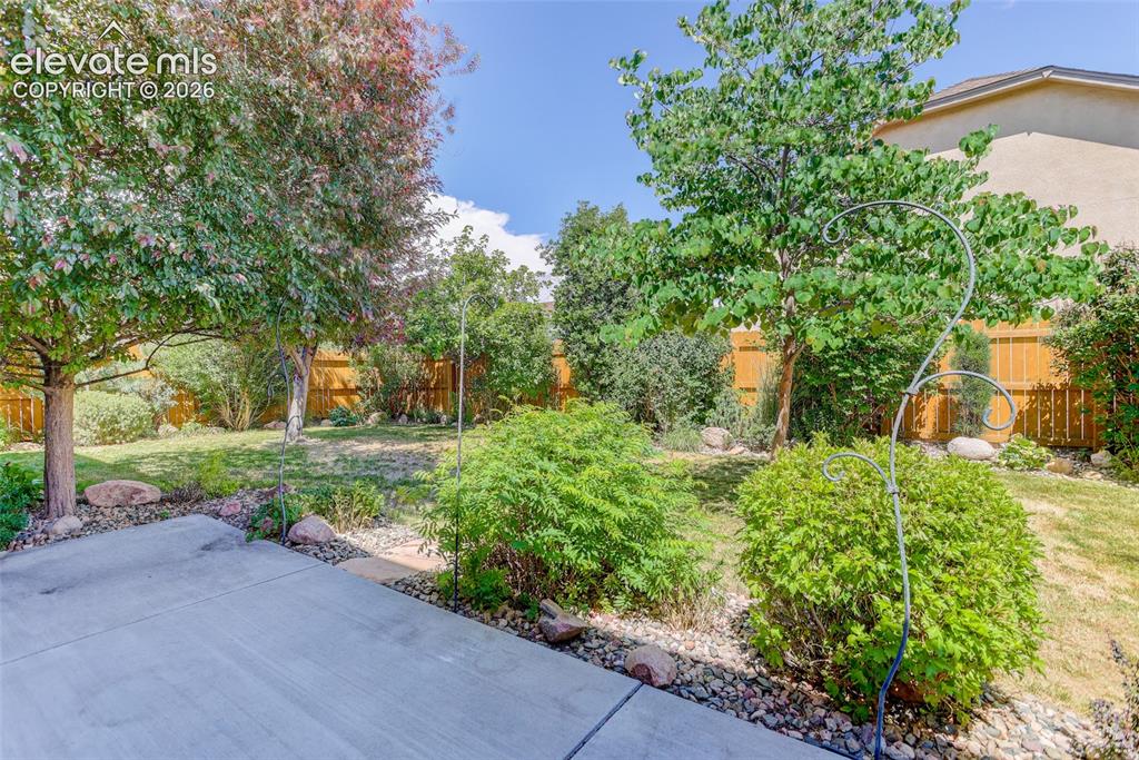2394 Reed Grass Way Colorado Springs CO 80915