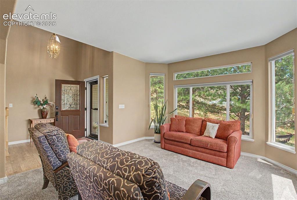 6770 Grey Wolf Court Colorado Springs CO 80919
