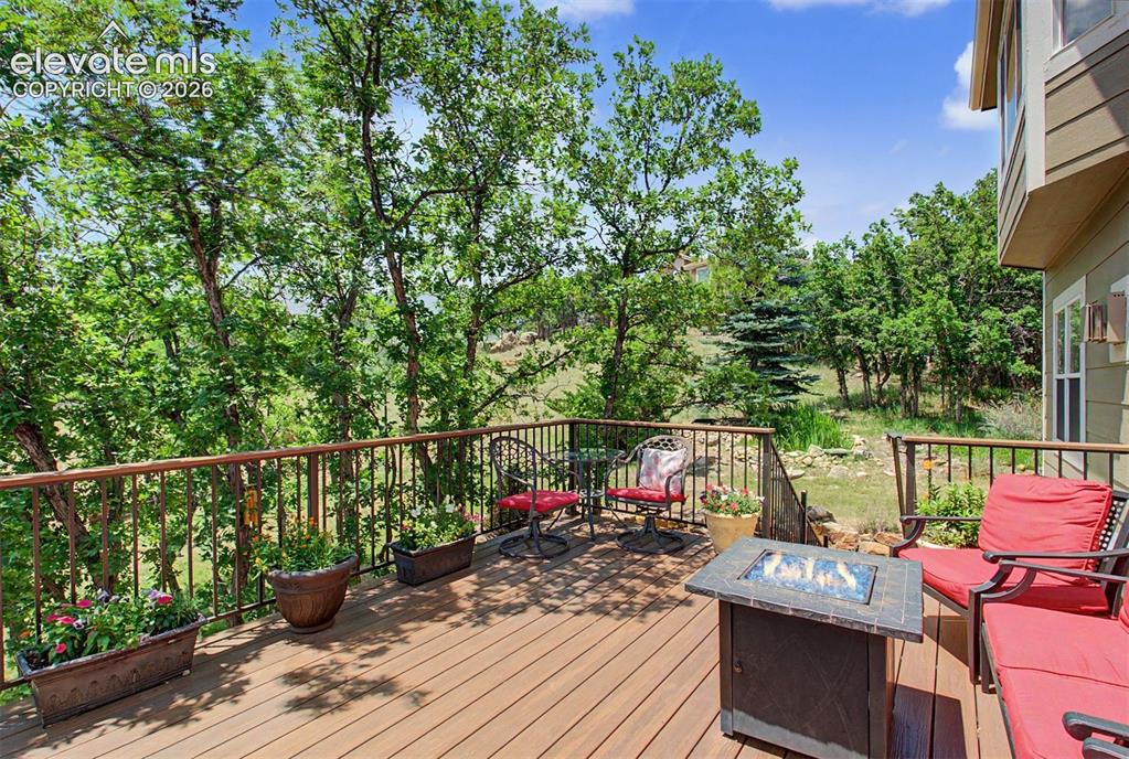 6770 Grey Wolf Court Colorado Springs CO 80919