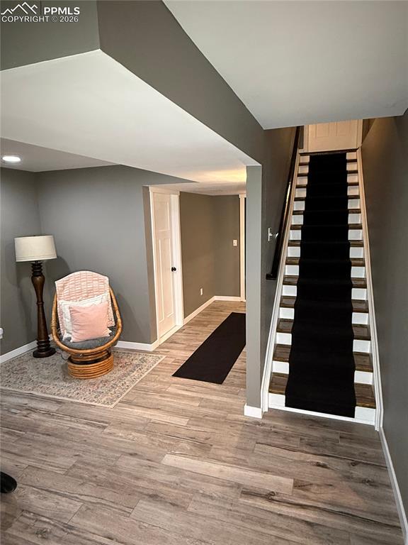 2505 Reed Grass Way Colorado Springs CO 80915