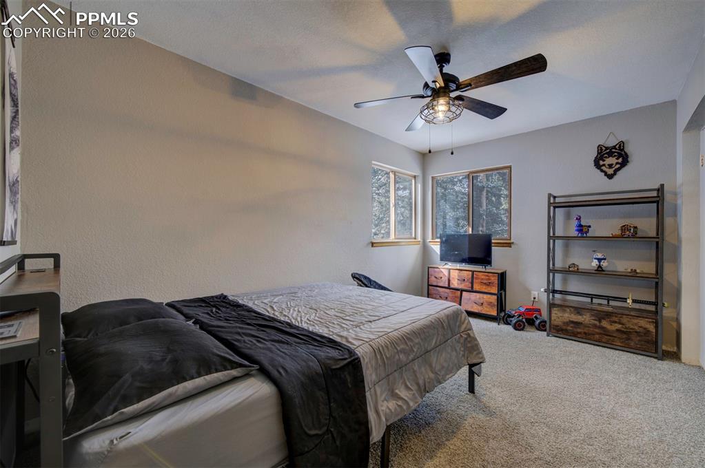 3430 Regent Drive Woodland Park CO 80863