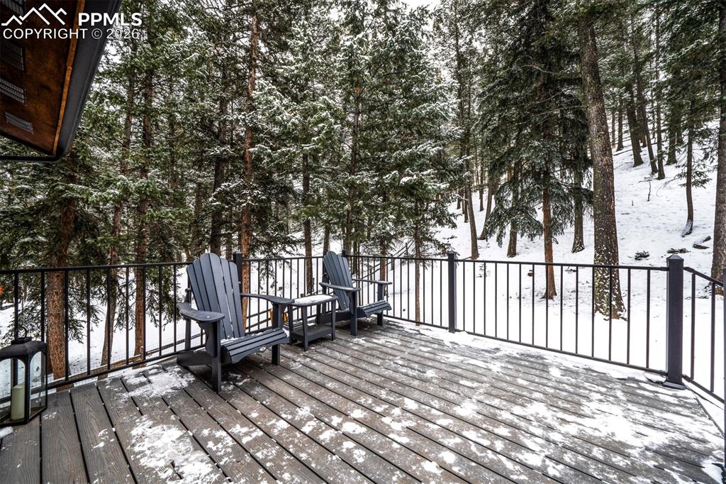 3430 Regent Drive Woodland Park CO 80863