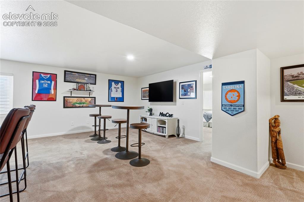 10977 Mount Evans Drive Peyton CO 80831