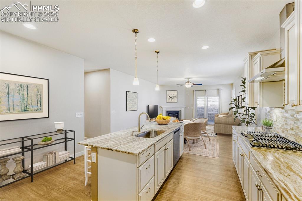 3973 John Court Castle Rock CO 80104