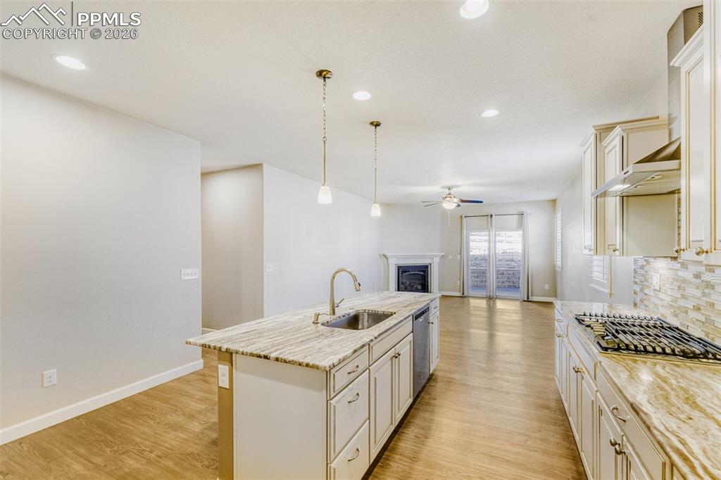 3973 John Court Castle Rock CO 80104