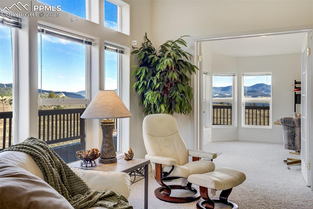 688 Tiara Drive Lake George CO 80827