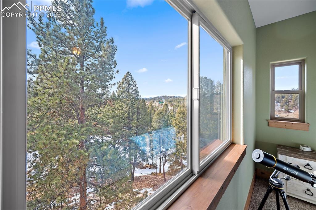 367 Cottonwood Lake Drive Divide CO 80814