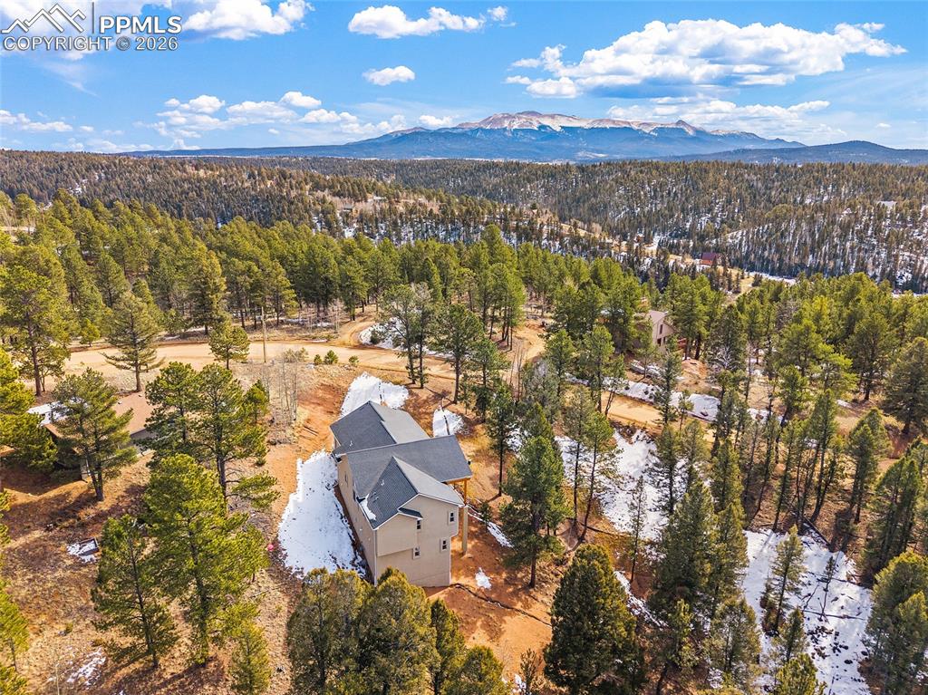 367 Cottonwood Lake Drive Divide CO 80814
